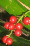 wp6d0821e4_0f.jpg