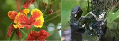 wpfdf01868.png