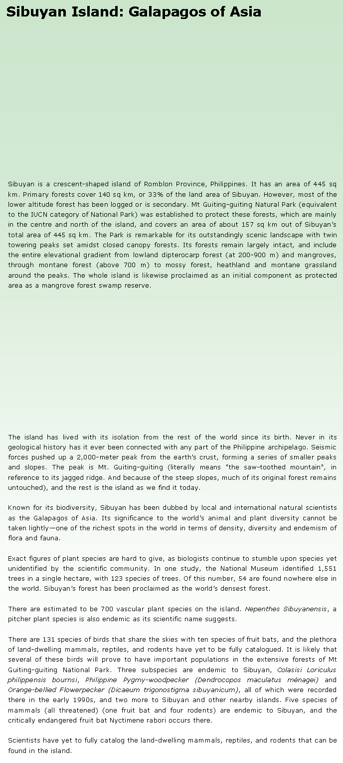 Text Box: Sibuyan Island: Galapagos of AsiaSibuyan is a crescent-shaped island of Romblon Province, Philippines. It has an area of 445 sq km. Primary forests cover 140 sq km, or 33% of the land area of Sibuyan. However, most of the lower altitude forest has been logged or is secondary. Mt Guiting-guiting Natural Park (equivalent to the IUCN category of National Park) was established to protect these forests, which are mainly in the centre and north of the island, and covers an area of about 157 sq km out of Sibuyan�s total area of 445 sq km. The Park is remarkable for its outstandingly scenic landscape with twin towering peaks set amidst closed canopy forests. Its forests remain largely intact, and include the entire elevational gradient from lowland dipterocarp forest (at 200-900 m) and mangroves, through montane forest (above 700 m) to mossy forest, heathland and montane grassland around the peaks. The whole island is likewise proclaimed as an initial component as protected area as a mangrove forest swamp reserve.The island has lived with its isolation from the rest of the world since its birth. Never in its geological history has it ever been connected with any part of the Philippine archipelago. Seismic forces pushed up a 2,000-meter peak from the earth�s crust, forming a series of smaller peaks and slopes. The peak is Mt. Guiting-guiting (literally means "the saw-toothed mountain", in reference to its jagged ridge. And because of the steep slopes, much of its original forest remains untouched), and the rest is the island as we find it today.Known for its biodiversity, Sibuyan has been dubbed by local and international natural scientists as the Galapagos of Asia. Its significance to the world�s animal and plant diversity cannot be taken lightly�one of the richest spots in the world in terms of density, diversity and endemism of flora and fauna. Exact figures of plant species are hard to give, as biologists continue to stumble upon species yet unidentified by the scientific community. In one study, the National Museum identified 1,551 trees in a single hectare, with 123 species of trees. Of this number, 54 are found nowhere else in the world. Sibuyan�s forest has been proclaimed as the world�s densest forest.There are estimated to be 700 vascular plant species on the island. Nepenthes Sibuyanensis, a pitcher plant species is also endemic as its scientific name suggests. There are 131 species of birds that share the skies with ten species of fruit bats, and the plethora of land-dwelling mammals, reptiles, and rodents have yet to be fully catalogued. It is likely that several of these birds will prove to have important populations in the extensive forests of Mt Guiting-guiting National Park. Three subspecies are endemic to Sibuyan, Colasisi Loriculus philippensis bournsi, Philippine Pygmy-woodpecker (Dendrocopos maculatus m�nagei) and Orange-bellied Flowerpecker (Dicaeum trigonostigma sibuyanicum), all of which were recorded there in the early 1990s, and two more to Sibuyan and other nearby islands. Five species of mammals (all threatened) (one fruit bat and four rodents) are endemic to Sibuyan, and the critically endangered fruit bat Nyctimene rabori occurs there.Scientists have yet to fully catalog the land-dwelling mammals, reptiles, and rodents that can be found in the island. 